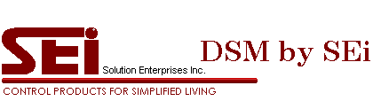 DSM by SEi